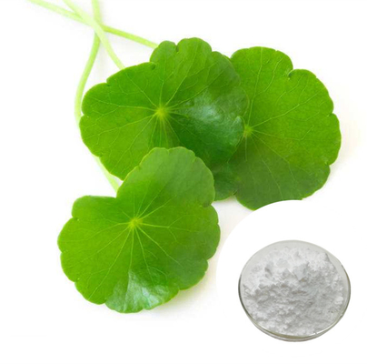 Centella Asiatica Extract 80% Asiaticoside Powder For Cosmetic Industries