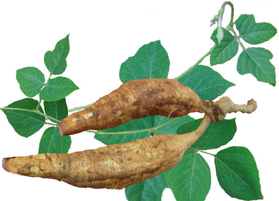 Wholesale High Quality Food Grade Pueraria Root Extract