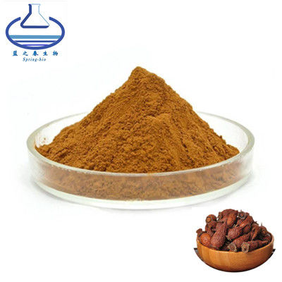 Pharmaceutical Natural Food Coloring Powder Alpinia Galangal Extract